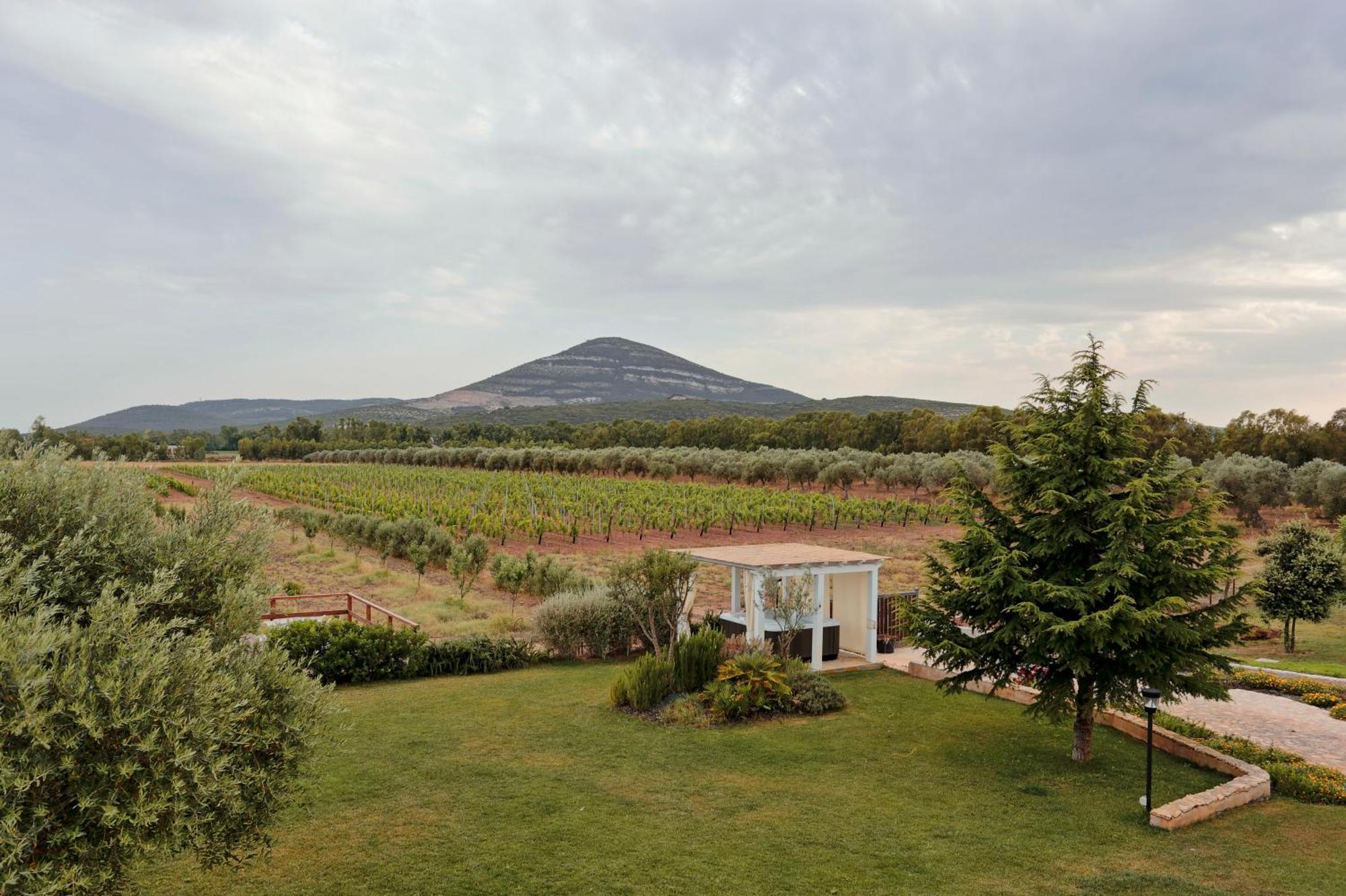 Agriturismo Casale Degli Ulivi Alghero Santa Maria la Palma Exteriör bild